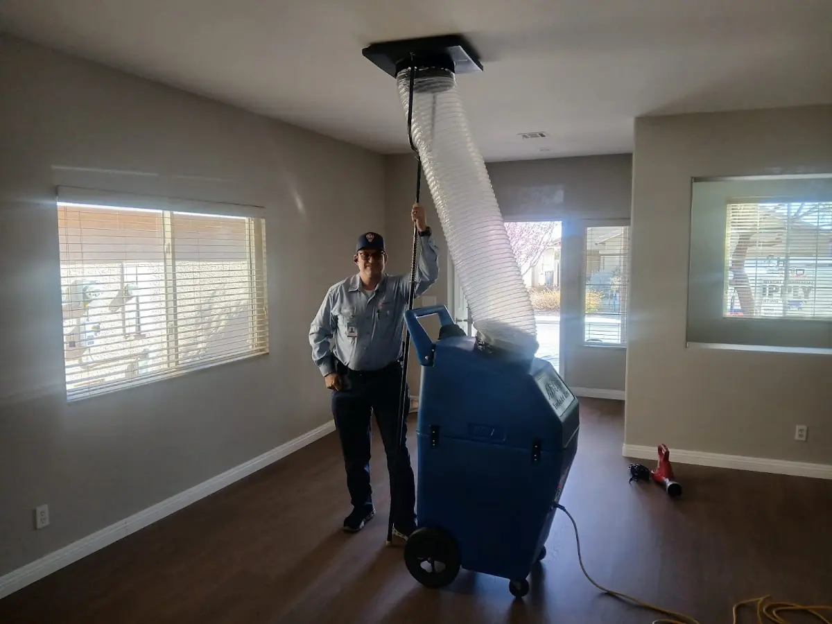 Professional Dryer Vent Cleaning work inside a Lake Goodwin home